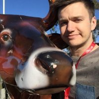 Ross Langley (@rosslangley11) 's Twitter Profile