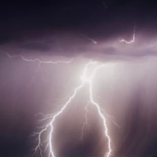 takkumin's profile picture. 