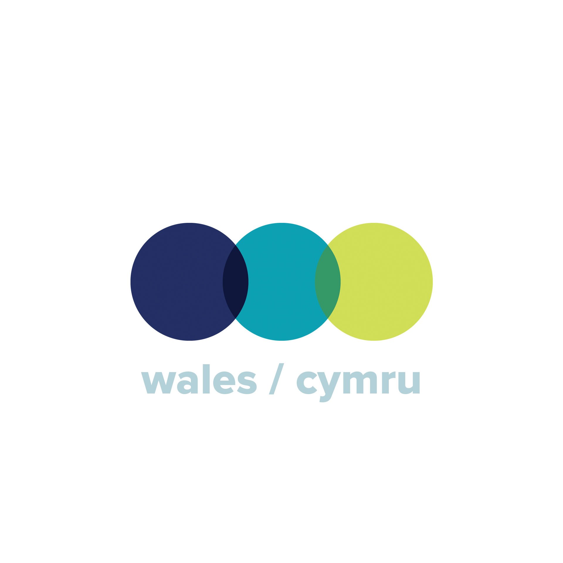 Working with churches, organisations and individuals across Wales as a trusted voice, together making Jesus known.