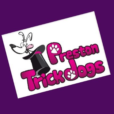 Preston Trick Dogs