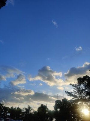 Sunning_WU's profile picture. Explore more possibilities for information accessibility through virtual reality.