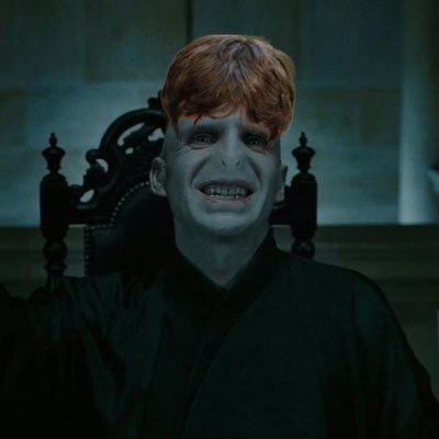 I am Lord Puigdemort - 500 Euro best friends