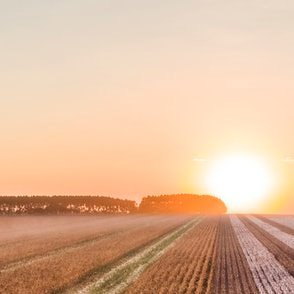 Agriculture | Future Farming | Smart Farming | Scalable System Solutions | Climate, Environmental & Social Justice | Digital Transformation