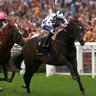 HughRacing's profile picture. ATR tipster