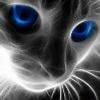 Федор Ноябрев (@twitty2net2) 's Twitter Profile