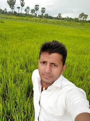 RANJEET69208304's profile picture. Reading