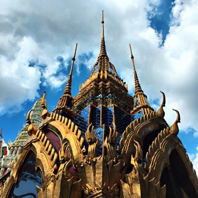 tigerbot6's profile picture. 💛🐯🖤