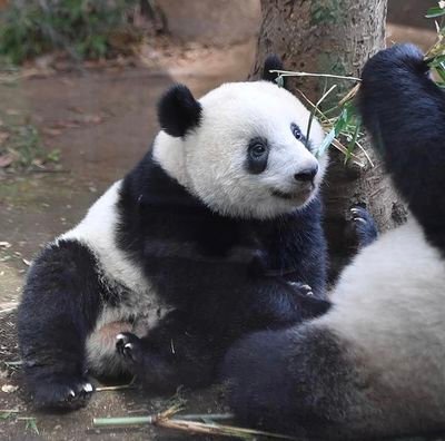 mottan0612's profile picture. 