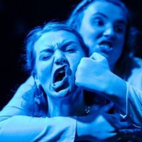 Alice Ritchie (@alice_j_ritchie) 's Twitter Profile