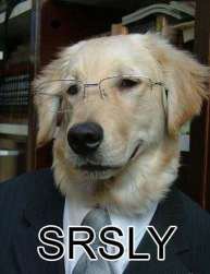 supersrsly's profile picture. 