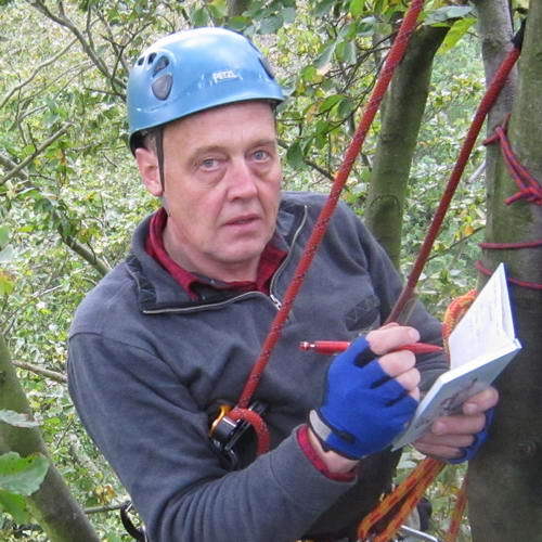 demeyner's profile picture. 