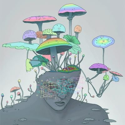 tohighh's profile picture. dead...