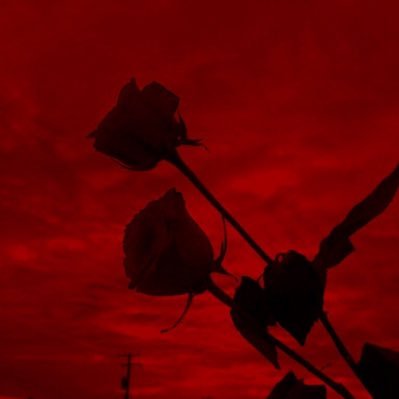 zuoluoding's profile picture. 嗨