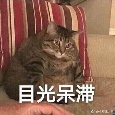 bbdalao's profile picture. 