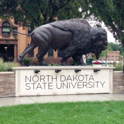 NDSUExtCass's profile picture. NDSU Extension creates learning partnerships that help youth and adults enhance their lives and communities in Cass County. 4-H, ANR, FNP, EFNEP, FCW, Urban