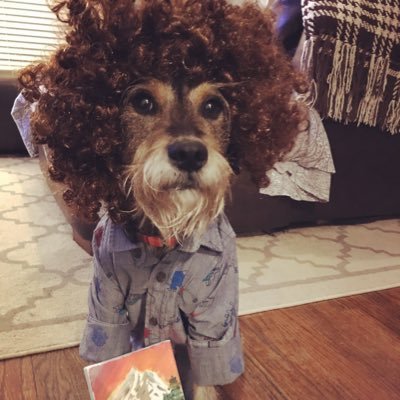 TheErinRooney's profile picture. TV Executive Producer, real life tv watcher! It’s called hotdish, not casserole.