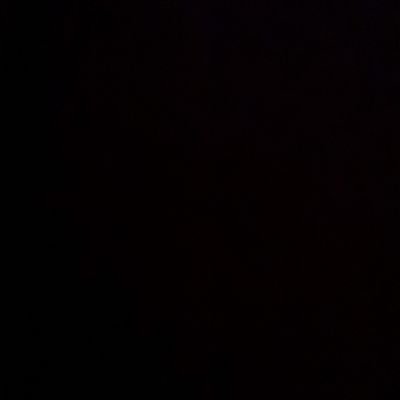 looloobamol's profile picture. 