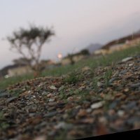 صقر الوحيشي (@ssgooor) Twitter profile photo