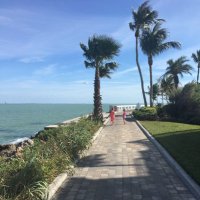 Shelli Koger (@shellikoger) 's Twitter Profile
