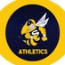 Saline Athletics (@SalineAthletics) Twitter profile photo