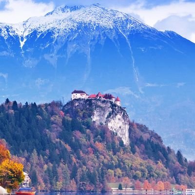 JessieStein18's profile picture. Solamente son palabras. Poesía es demasiado grande🥂🌺