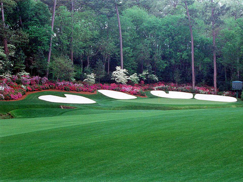 Tubruck's profile picture. "Let us speak courteously, deal fairly, and keep ourselves armed and ready."--Theodore Roosevelt.  2amagadjtgoatrushdittohead