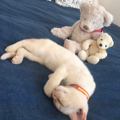 mariase75064188's profile picture. Odio lo políticamente correcto. Al pan pan y al vino vino.💚🇪🇸