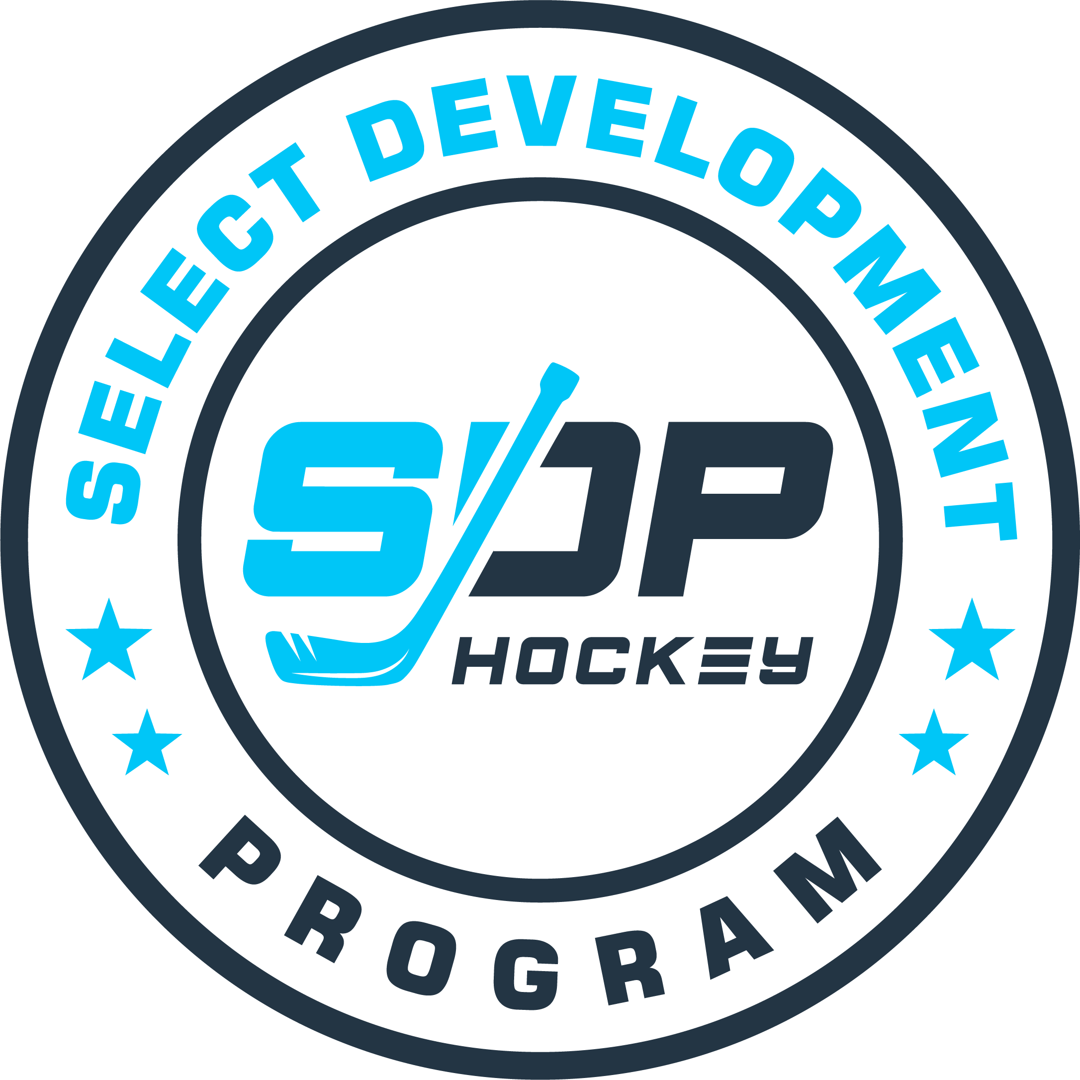 SdpHockey Profile Picture