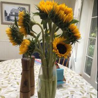 @westhantsintegratedfrailty (@westhantsinteg1) 's Twitter Profile Photo