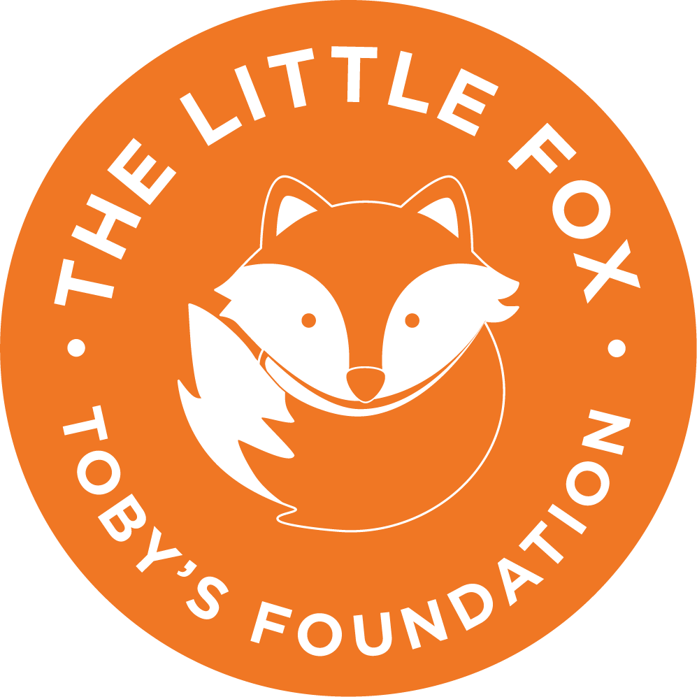 TheLittleFoxFdn's profile picture. 501(c)3 nonprofit | Pittsburgh, PA 👼🏻 In memory of Toby Stern🧡 Grief Support & Resources | Infant Loss Advocate | SIDS Awareness