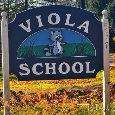 All you need to know about Viola Elementary School Happenings!