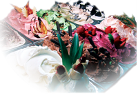 Coppa di Gelato
