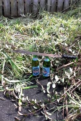 MiczA17's profile picture. 