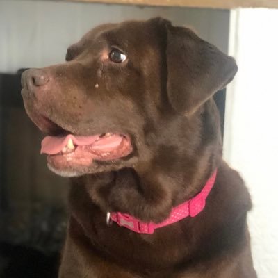 truckerfordy63's profile picture. director of foster and sims motor engineers trucker and big supporter of our military past and present