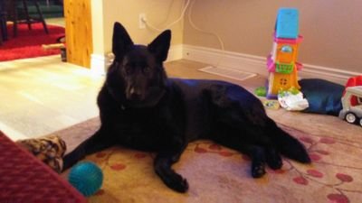 DanielleHeathf1's profile picture. 