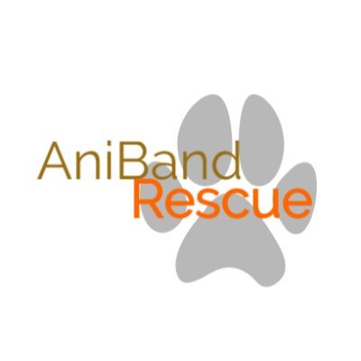 AnibandRescue is a nonprofit organization to save dogs from dog farms. For more information, visit https://t.co/Dk1ws5irYv