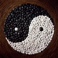 mariorserra's profile picture. 