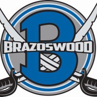 Brazoswood Library(@brazoswoodlib) 's Twitter Profile Photo