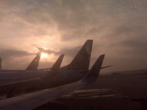 dgarci's profile picture. 