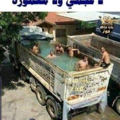 Freewalks2's profile picture. easy going