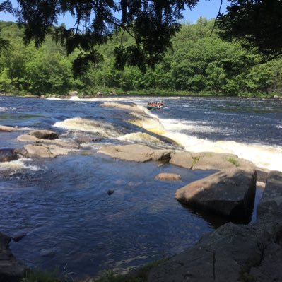 BlanckBonnie's profile picture. 