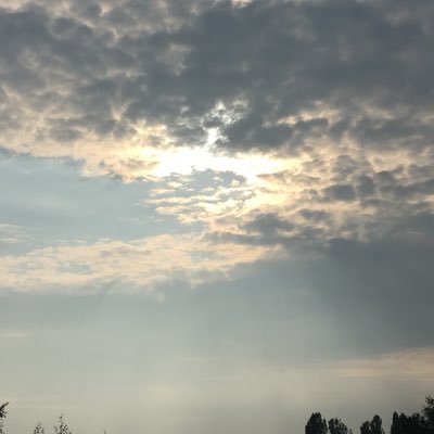 TriggerTM's profile picture. I don’t like orange things. Well, except🍊.But that is all. #resist #Resistance #FBR Unfollow=unfollow. We can respectfully have a difference of opinion.