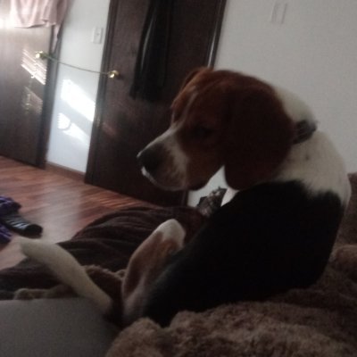 AnthonyMProto1's profile picture. Fun, Honest, Love Ziti Baby.