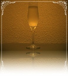 forestfornature's profile picture. 