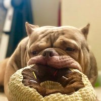 Dirty Electric (@dirty_electric_) 's Twitter Profile