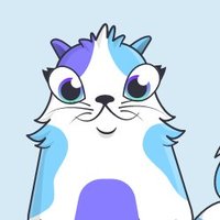 Nice Kitties(@KittiesNice) 's Twitter Profile Photo