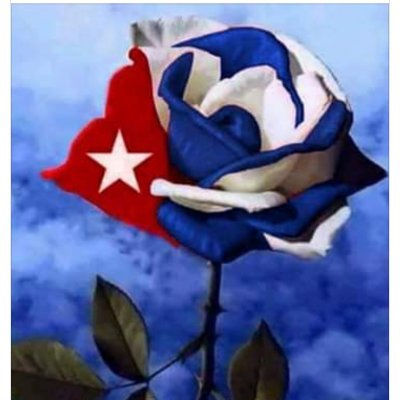 Soy cubana 💯, fidelista, madre orgullosa, revolucionaria y convencida de que un mundo mejor es posible.