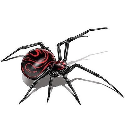 Black_Widow_81's profile picture. 🕷🖤
perfectly imperfect



          📷 IG: black_widow.81