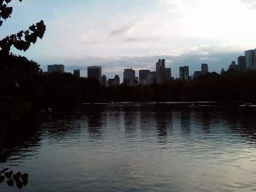 BigManhattan's profile picture. NYC is too little for me =)