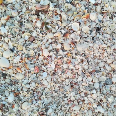 DownDumb's profile picture. Why Dumb Down? Why is it that such a popular choice?

Why not use nature's gifts: one's own brain for that matter?